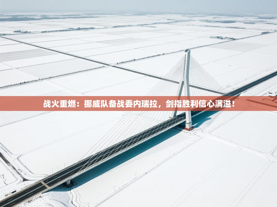 战火重燃：挪威队备战委内瑞拉，剑指胜利信心满溢！  第1张