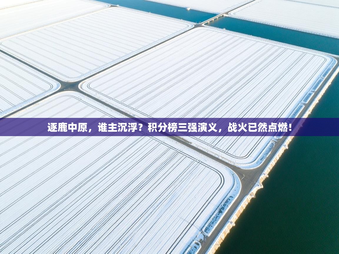 逐鹿中原，谁主沉浮？积分榜三强演义，战火已然点燃！  第2张